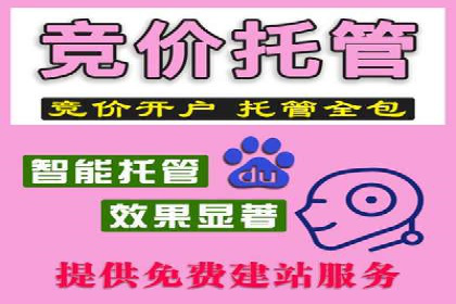 百度平台推广案例：低成本营销的成功之道
